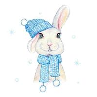 Rabbit  in a knitted blue hat and scarf. watercolor illustration vector