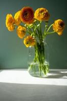 Ranunculus yellow flowers photo