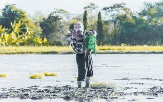 Farming of Thai farmers who are farming during April 13, 2022 photo