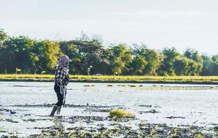 Farming of Thai farmers who are farming during April 13, 2022 photo