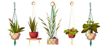 House plants in hanging pots in macrame hangers