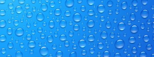 Condensation water drops on blue background, 3d vector