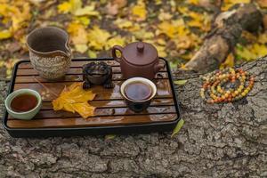 Chinese pu-erh tea ceremony in autumn park photo