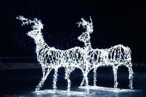 Christmas deer with lights on black background. New Year decoration of the city. photo