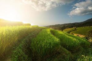 landscape of Rice terrace at Ban pa bong piang in Chiang mai Thailand photo