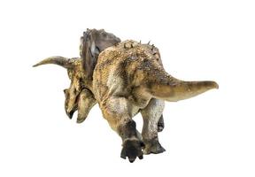 dinosaurio, triceratops en un camino aislado de recorte de fondo foto