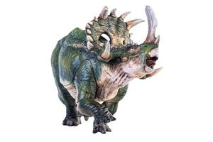 dinosaur , Sinoceratops isolated background  clipping path photo