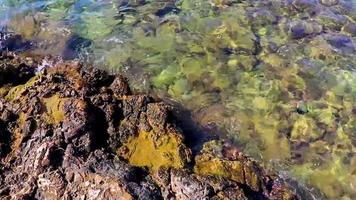 strand en kleurrijk turkoois blauw water structuur voula vouliagmeni Griekenland. video