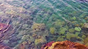 strand en kleurrijk turkoois blauw water structuur voula vouliagmeni Griekenland. video