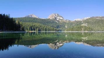 lago nero nel parco nazionale durmitor in montenegro. area protetta dell'unesco. colori vibranti. riflesso della montagna nell'acqua. neve sulle cime. vacanze nella natura. bosco intorno al lago. video