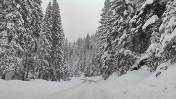 conduite en hiver, routes enneigées. précautions pendant la conduite. mauvais temps. routes de montagne. routes gelées et glissantes. voitures sur la route avec de la glace. voyage prudent dans la saison d'hiver. video