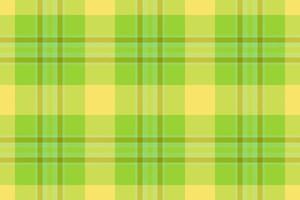 Vector plaid fabric. Textile tartan check. Texture pattern seamless background.