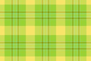 Vector plaid fabric. Textile tartan check. Texture pattern seamless background.