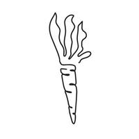 Simple carrot design in continuous line art drawing style. Growing carrot plant minimalist black linear sketch isolated on white background. Vector illustration.