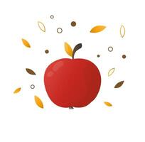 ripe juicy red apple. illustration in autumn style vector