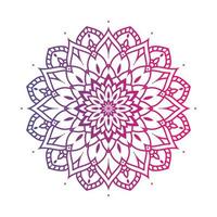 mandala de color degradado sobre fondo blanco aislado, mandala con motivos florales. adornos vector