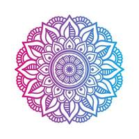 mandala de color degradado sobre fondo blanco aislado, mandala con motivos florales. adornos vector