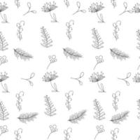 Pattern of different grass outline. Vector