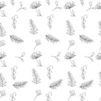 Pattern of different grass outline. Vector