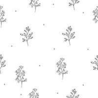 Pattern of different grass, viburnum, mountain ash outline. Vector