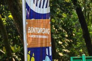 This is photo of a binturong at Ragunan Zoo.