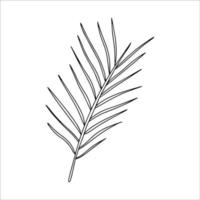 Hand drawn twig. Doodle vector illustration