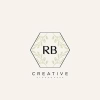 RB Initial Letter Flower Logo Template Vector premium vector art