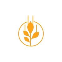 Wheat Grain Agriculture Logo Design Vector Template