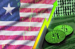 Liberia flag and cryptocurrency growing trend with two bitcoins on dollar bills and binary code display photo