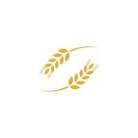 Agriculture wheat Logo Template vector