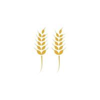 Agriculture wheat Logo Template vector