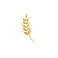 Agriculture wheat Logo Template vector