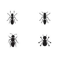 Ant Logo template vector illustration