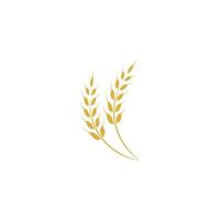 Agriculture wheat Logo Template vector