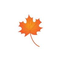 oak leaf background vector