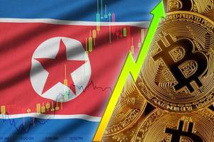 North Korea flag and cryptocurrency growing trend with many golden bitcoins photo