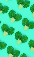 Tropical palm monstera leaves lies in a pastel pails on a colored background. Flat lay trendy minimal pattern. Top view photo