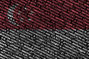 Singapore flag is depicted on the screen with the program code. The concept of modern technology and site development photo