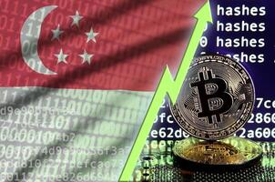Singapore flag and rising green arrow on bitcoin mining screen and two physical golden bitcoins photo