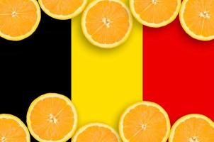 Belgium flag in citrus fruit slices horizontal frame photo