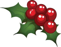 A christmas holly berry mistletoe vector