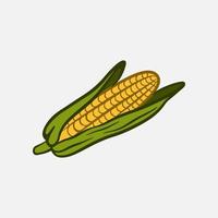 hand drawn corn clip art vector