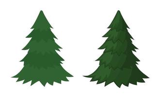 Set of spruce. Christmas tree without decoration. Vector illustration.