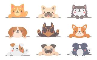 marco de texto de mascota de dibujos animados lindos perros y gatos para niños vector