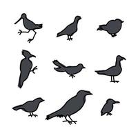 sombras de diferentes pájaros vector