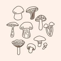 Set of Mushrooms vector