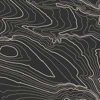 topografía vectorial de contornos grises. ilustración de vector de topografía de montaña geográfica. textura de patrón topográfico. mapa en terreno vectorial terrestre. líneas de altura de contorno gráfico de elevación. mapa topográfico