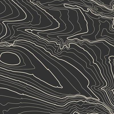 Grey contours vector topography. Geographic mountain topography vector illustration. Topographic pattern texture. Map on land vector terrain. Elevation graphic contour height lines. Topographic map