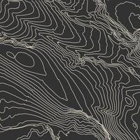 Grey contours vector topography. Geographic mountain topography vector illustration. Topographic pattern texture. Map on land vector terrain. Elevation graphic contour height lines. Topographic map