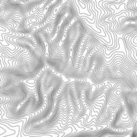 Topographic map contour background. Topo map with elevation. Contour map vector. Geographic World Topography map grid abstract vector illustration .